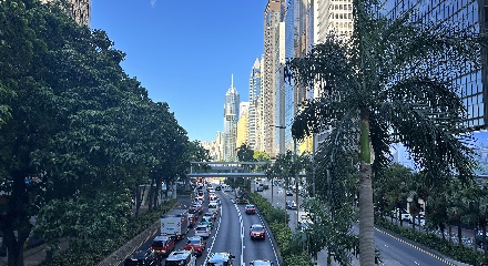 香港优才计划“杀疯了”！狂下拒信！别急，换个赛道照样拿香港身份！